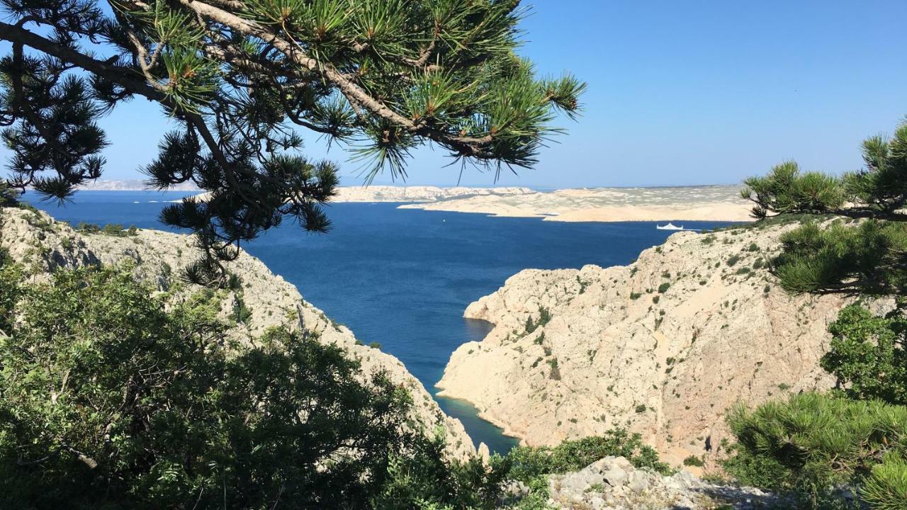 Wil Vannese Stinica Exteriér fotografie
