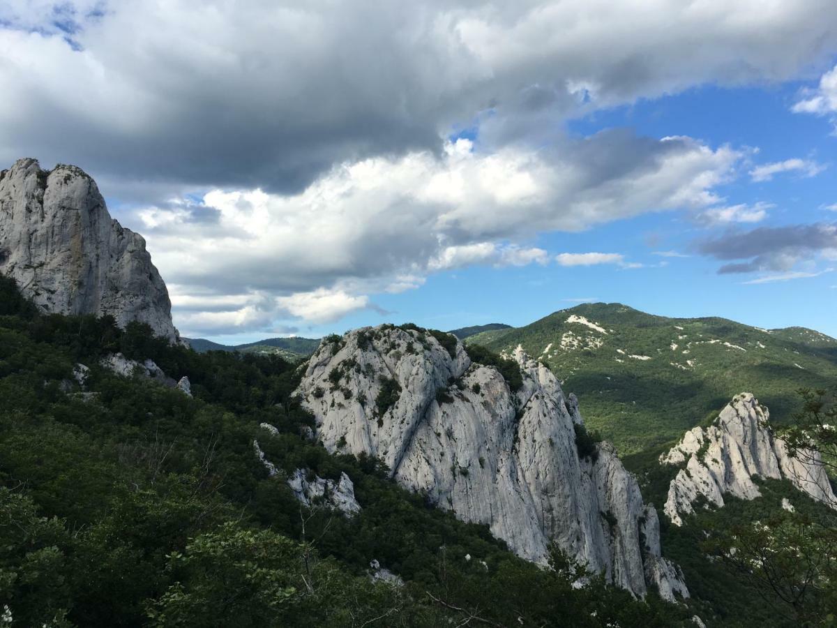 Wil Vannese Stinica Exteriér fotografie